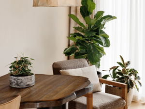 Bảng khách sạn Melbourne 1